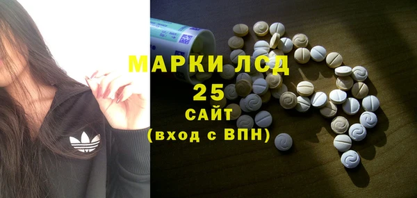 шишки Лагань