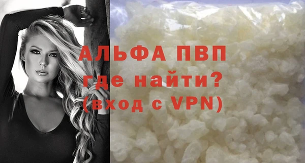 сатива Кулебаки