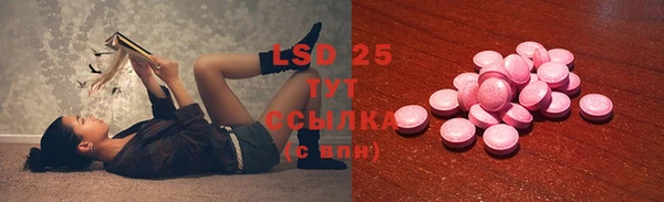 сатива Кулебаки