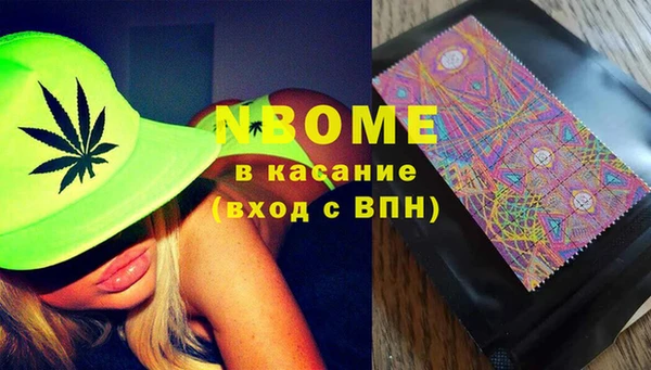 сатива Кулебаки